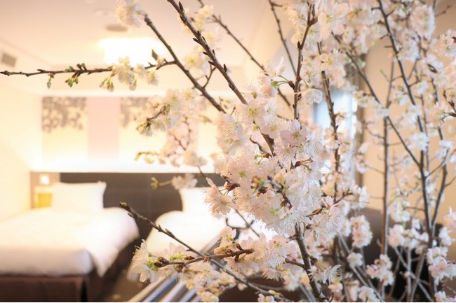 宿泊プランイメージ