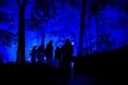 鶴雅グループ創業70年を記念した特別プラン、「THE FOREST 阿寒 TSURUGA RESORT」にて幻想的なナイトウォークを体験する「カムイルミナ」入場券&特典が付いた宿泊プランを販売開始!