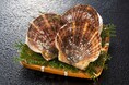 【鶴雅グループ70周年記念】「サロマ湖 鶴雅リゾート」にて、旬を迎えるサロマ湖産貝付き&生玉ホタテが付いた宿泊プランを販売開始!