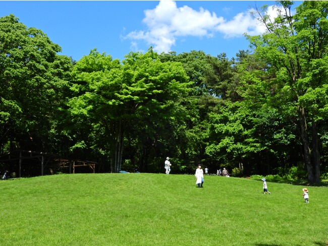 夏：芝生で遊ぶこどもたち