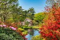 【10月1日にどんぐり苗木を移植樹】CO2排出量を可視化できるクレジットカード『SAISON CARD Digital for becoz』赤城自然園にて移植樹実施のご報告