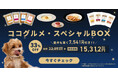 【ブラックフライデー】売上No.1の愛犬用手づくりごはんココグルメが33%オフ!愛犬とのお家クリスマスにぴったりのココグルメ・スペシャルBOXを楽天市場で販売。