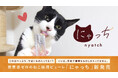 【猫用新商品】この食べっぷり、やばいもの入ってる!?いいえ、安全で健康なものしか入ってません。罪悪感ゼロのねこ様用ピューレ「にゃっち」新発売