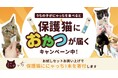 5月25日は保護猫の日。にゃっちを購入で保護猫に寄付ができるキャンペーンがスタート
