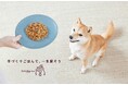 水分と栄養が補給できるココグルメで愛犬に早めの暑さ対策を!試食ができる店舗イベントを日時限定で開催します。