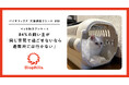 【ペット防災】ペットと入れる近隣の避難所を知っている飼い主13.7%。84%が「同じ空間で過ごせないなら避難所には行かない」。