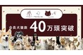 ココグルメ・ミャオグルメの会員犬猫数が40万頭を突破!愛猫向け無添加ピューレ「にゃっち」好調で猫会員は216%増。