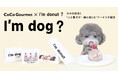 犬の日記念！I'm donut？とココグルメがコラボし、"人と愛犬が一緒に楽しむ"ドーナツが誕生。11/1よりI'm donut？の店舗などで発売します。