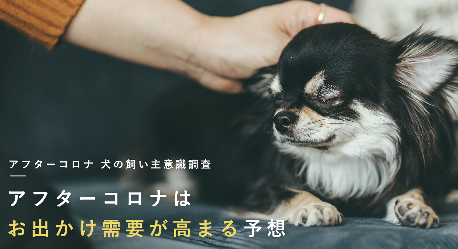 アフターコロナ 犬の飼い主意識調査 アフターコロナは旅行 ドッグランなどお出かけ需要が高まると予想 株式会社バイオフィリアのプレスリリース