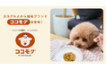 価格を理由に、愛犬の健康を諦めないために。フレッシュドッグフードNo.1（※1）のココグルメから、手づくりごはんを“大衆化”する姉妹ブランド「ココモグ」新登場。