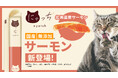 安心して愛猫にあげてほしいから。食塩不使用、100％天然由来原料の無添加ピューレ「にゃっち」にサーモン味が新登場