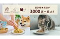 犬猫用手づくりごはん「ココグルメ」「ミャオグルメ」シリーズ、累計販売施設数が3,000店へ拡大