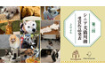 【敬老の日】大変なことも増えていくけど、もっともっと愛おしい。「シニア犬猫川柳2026」入選作品を発表します。