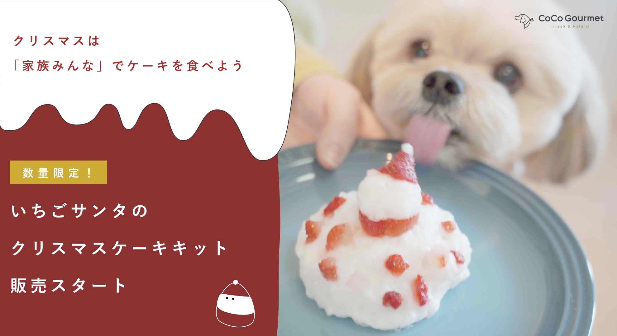 ワンちゃん用xmasケーキキット12月1日予約開始 フレッシュドッグフードで簡単おいしいクリスマスケーキ が作れます 株式会社バイオフィリアのプレスリリース