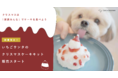 【ワンちゃん用Xmasケーキキット12月1日予約開始】フレッシュドッグフードで簡単おいしいクリスマスケーキが作れます