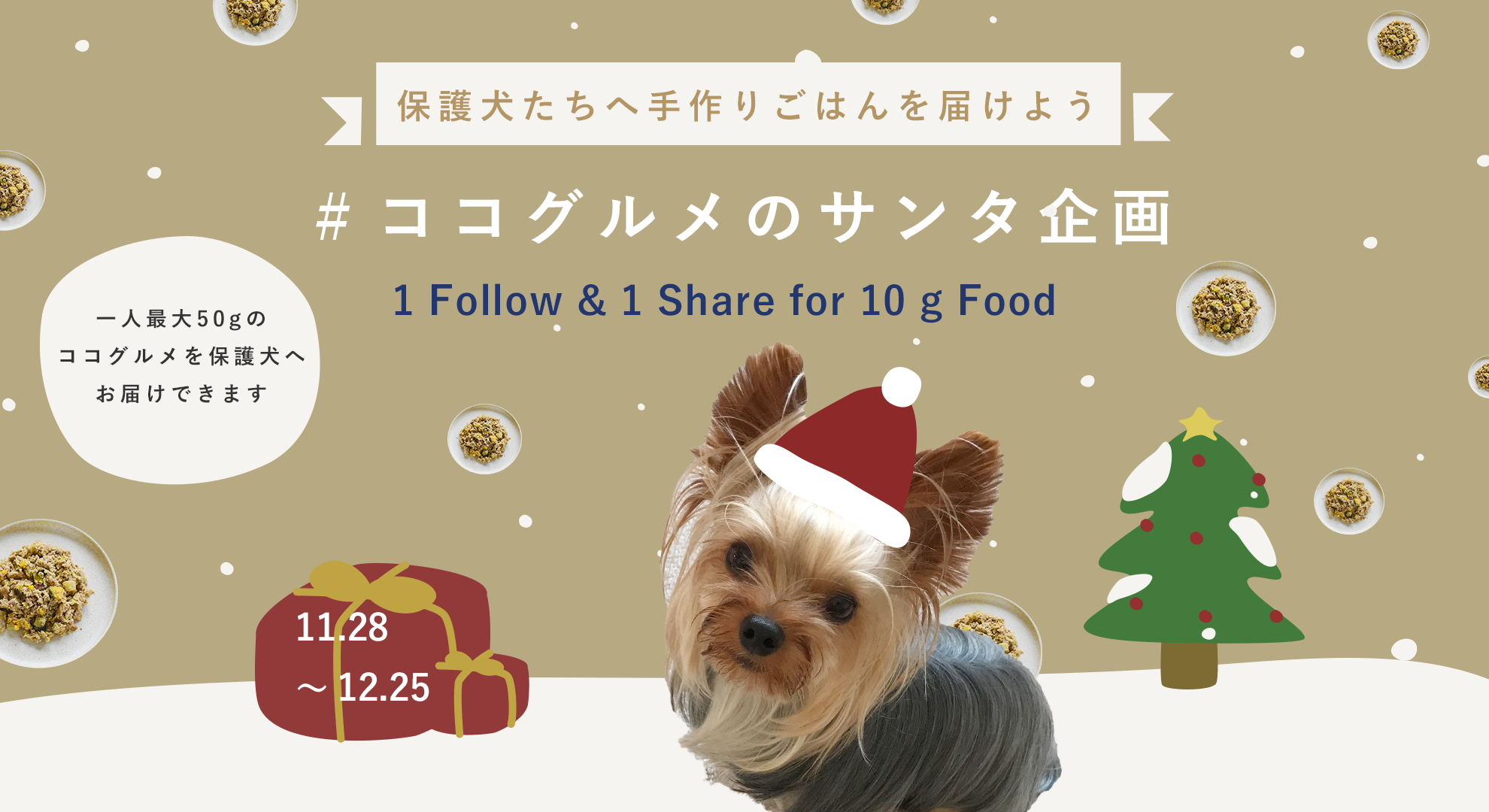 フレッシュペットフードd2cバイオフィリア 保護犬に手作りフードが寄付できる参加型クリスマスチャリティーを開催 株式会社バイオフィリアのプレスリリース