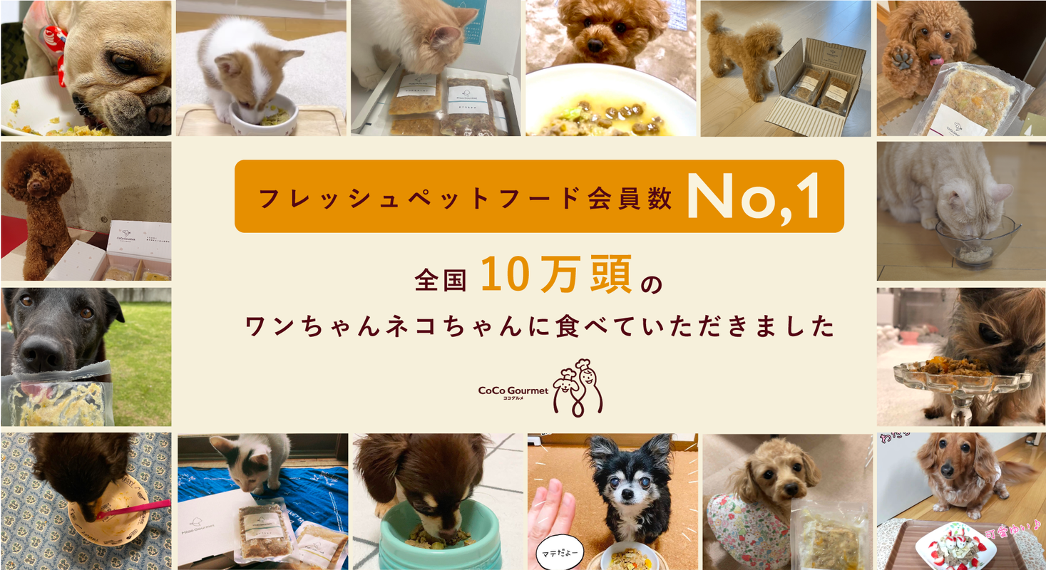 会員数No.1犬猫用手づくりフレッシュフード「ココグルメ」「ミャオ