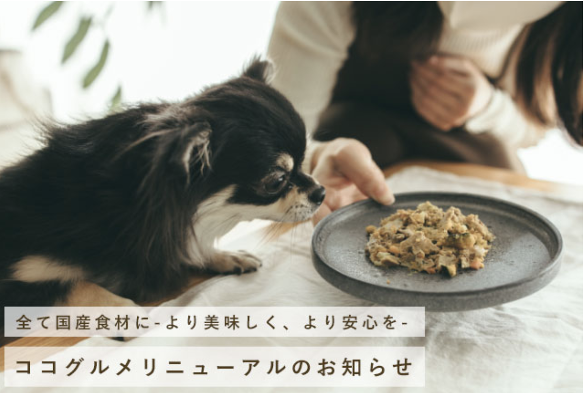 【全原材料を国内産に】手作りペットフード「CoCo Gourmet（ココ