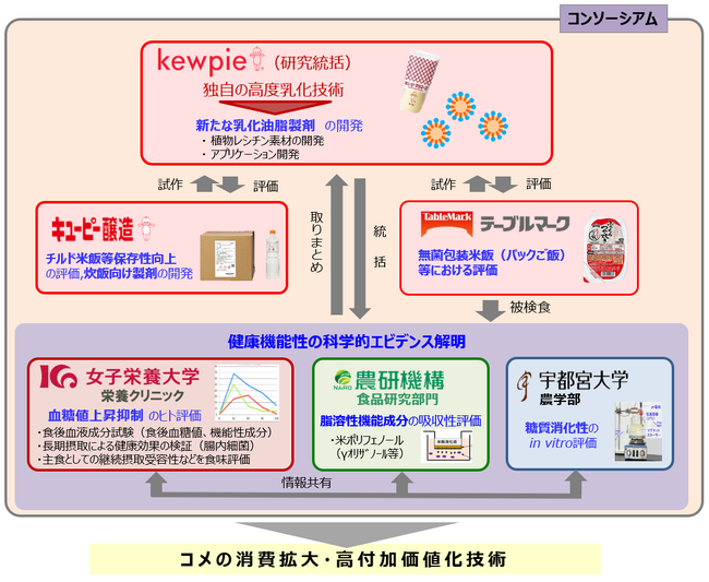 研究体制図