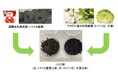 キユーピーとカゴメが未利用野菜資源のバイオ炭化で共同研究を開始