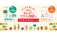 収穫体験やサラダ作りができる「サラダを楽しむ！キユーピーとヤサイな仲間たち　プレゼントキャンペーン」を実施