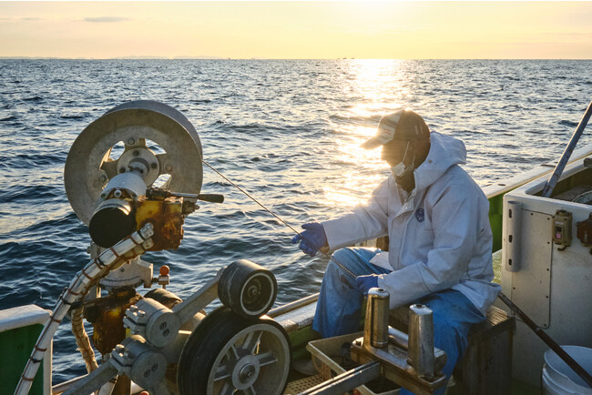 オキギス漁イメージ オキギス漁イメージ