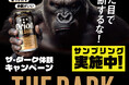 「飲めば分かる、このうまさ。」沖縄を巡る体験型施策スタート新CM放映と連動し、「オリオン ザ・ダーク」大規模サンプリングキャンペーン実施