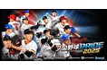 プレイヤーの皆様に支えられ『プロ野球PRIDE』が13周年!