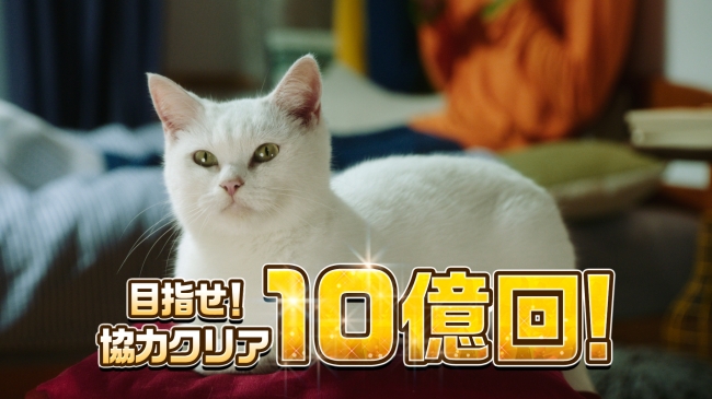 白猫プロジェクト の新テレビcmを12月24日から放映開始 コロプラのプレスリリース