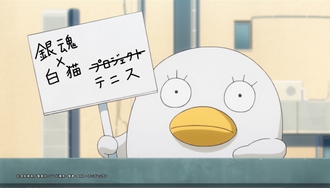 Tvアニメ 銀魂 と 白猫テニス のコラボ決定 コロプラのプレスリリース
