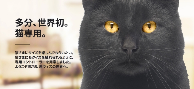 安心の抵抗付 - 黒猫様専用 - 公式 アクセサリー:8223円 - ブランド