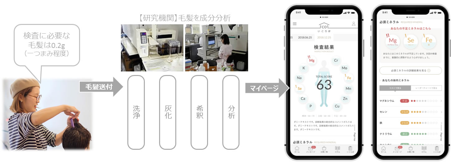 髪からわかるカラダの栄養バランスチェック いこらぼ 1 が医学的実証実験開始 株式会社icoiのプレスリリース