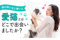 【猫の飼い主に聞いた！】愛猫との出会いは？
