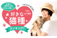 【2024年最新版:全国の猫好き女性300人に聞いた】好きな猫種ランキング!1位はあの猫種