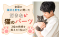 全国の猫好き男性に聞いた「好きな猫のパーツ」2位の肉球を抑えた1位は?