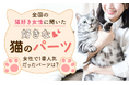 全国の猫好き女性に聞いた「好きな猫のパーツ」女性で1番人気だったパーツは?