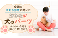 全国の犬好き男性に聞いた「好きな犬のパーツ」ふわふわな毛を抑えた第1位は?