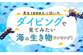 【男女1000人に聞いた】ダイビングで見てみたい海の生き物ランキング!