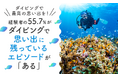 【ダイビングで最高の思い出を!】経験者の55.7%が、ダイビングで思い出に残っているエピソードが「ある」