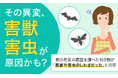 【その異変、害獣・害虫が原因かも?】家の異変の原因を調べた約9割が「害獣や害虫のしわざだった」と回答