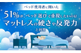 【ベッド使用者に聞いた】51%が、ベッド選びで重視したいのは「マットレスの硬さや反発力」と回答