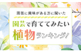 【園芸に興味がある方に聞いた】園芸で育ててみたい植物ランキング!