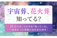 【宇宙葬、花火葬知ってる?】18.6%が、宇宙葬を「知っている」 一風変わった葬儀の知名度を調査!