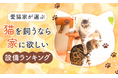 【愛猫家が選ぶ】猫を飼うなら家に欲しい設備ランキング!