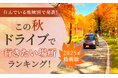 【住んでいる地域別で発表！】この秋ドライブで行きたい場所ランキング！2025年最新版