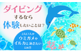 【ダイビングするなら体験したいことは?】2人に1人が「ウミガメやイルカと泳ぎたい」と回答
