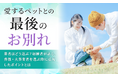 愛するペットとの最後のお別れ、業者はどう選ぶ？経験者が語る、葬儀・火葬業者を選ぶ際に重視したポイントとは