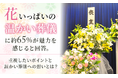 「花いっぱいの温かい葬儀」に約65％が魅力を感じると回答。重視したいポイントと温かい葬儀への想いとは？