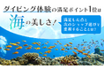 ダイビング体験の満足ポイント1位は「海の美しさ」！満足した点と次のショップ選びで重視することとは？