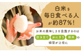 白米を毎日食べる人が約87％！お米の美味しさを意識するのは「炊き立て」「おにぎり」「新米」の瞬間が上位に